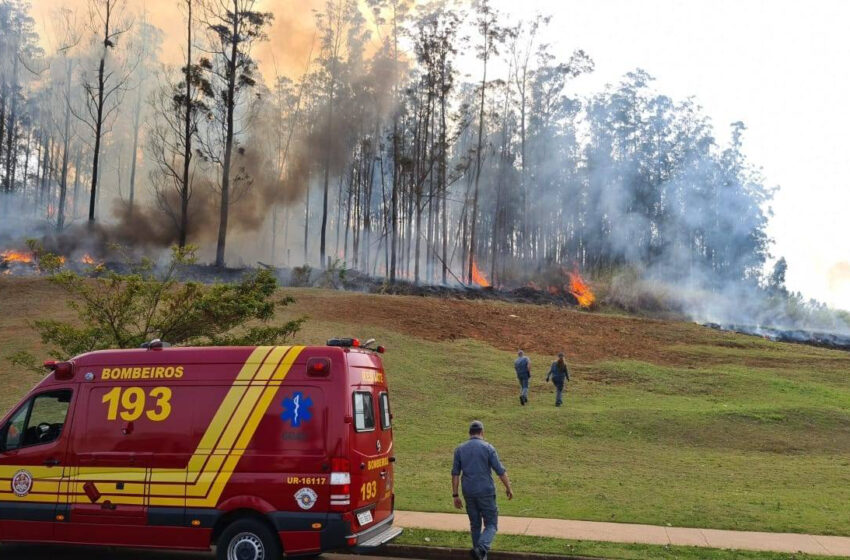  Avião caiu logo após a decolagem em Piracicaba; veja vídeo